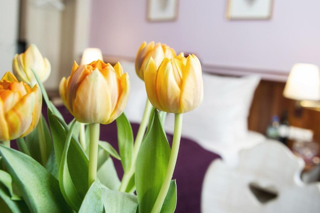 Hotel Elch Nürnberg Eksteriør bilde